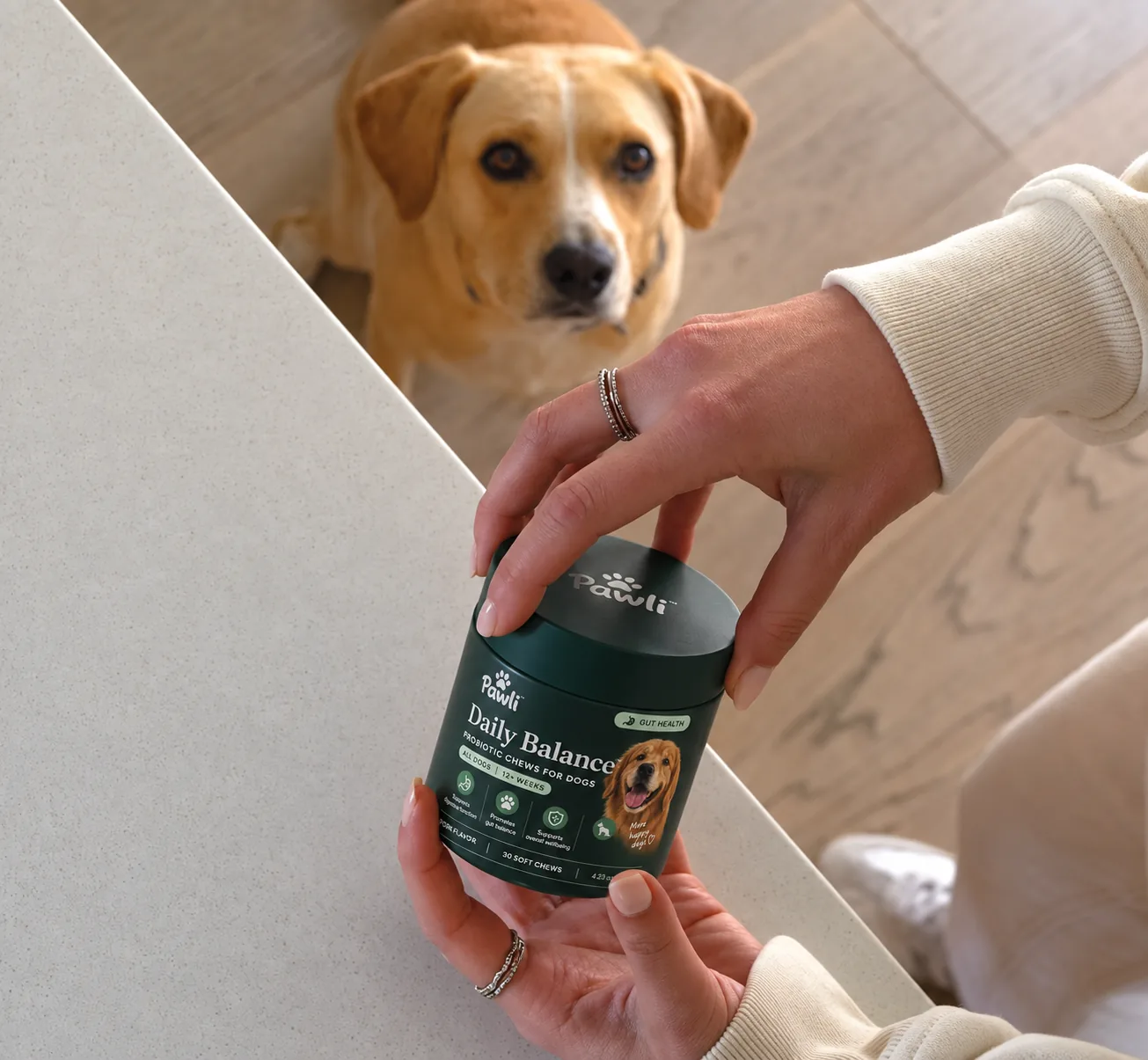 Person holder Daily Balance-boksen med hund i bakgrunnen